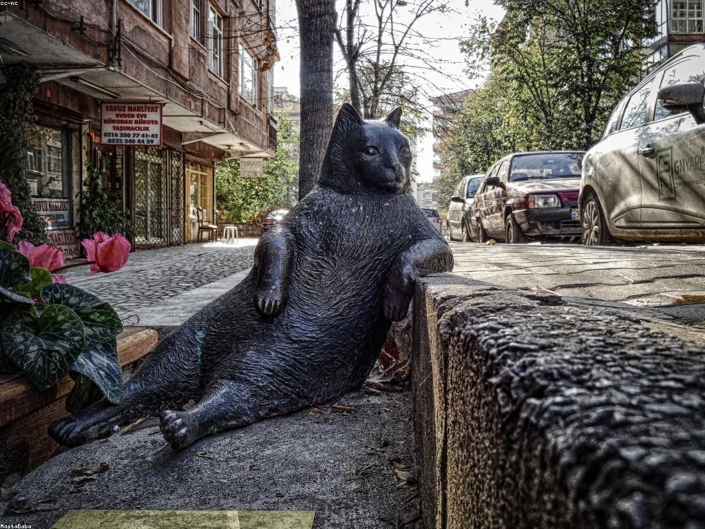 យុទ្ធសាស្ត្រល្អបំផុតសម្រាប់ការប្រកួតនិងការផ្តល់ជូន